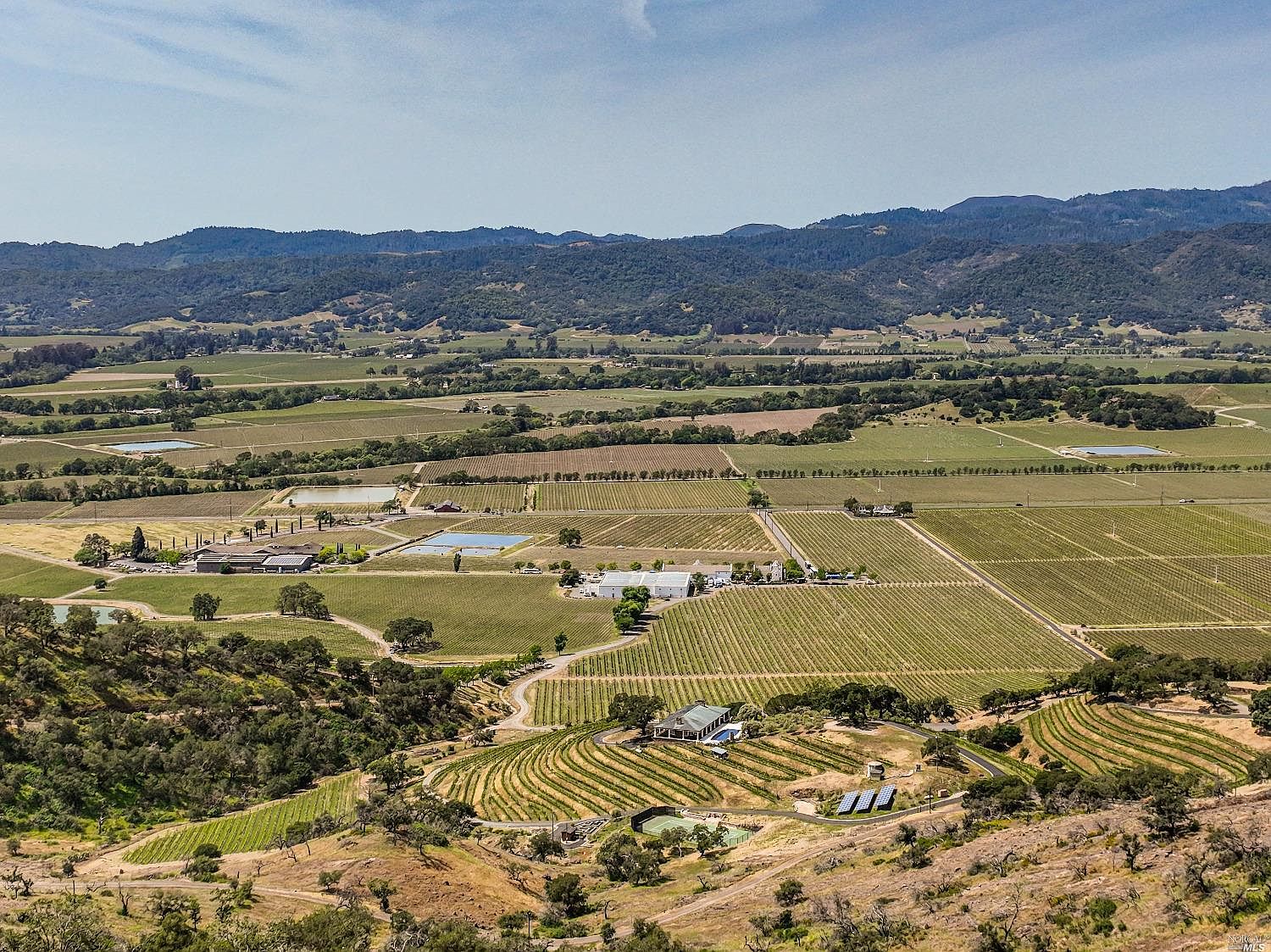 A closer aerial of contiguous vineyard rows on the parcel and below, set against open hillside.