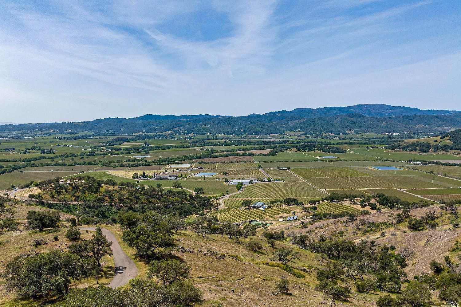 Aerial view of the 67-acre Napa Valley parcel at 177 Ridge Drive, looking west across the valley floor toward the Mayacamas Mountains.